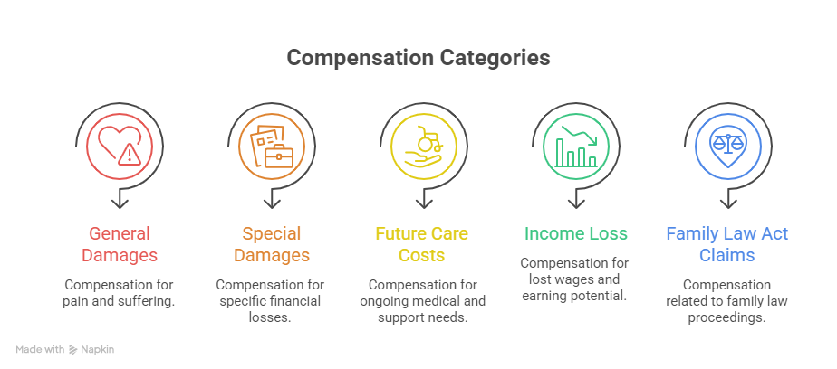 Infographic showing compensation categories including general damages, special damages, future care costs, income loss, and family law act claims.